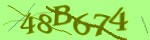 Mã bảo mật