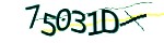보안 코드