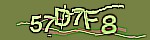 验证码