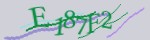 验证码