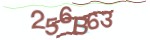 验证码