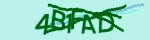 보안 코드