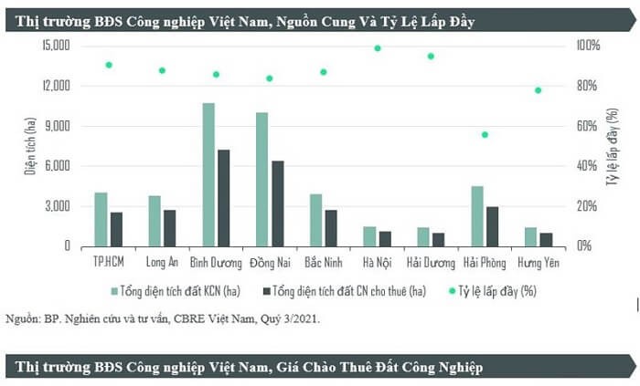 Quy mô đa dạng và tỷ lệ lấp đầy liên tục tăng