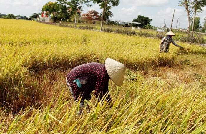 tăng 120000ha đất công nghiệp 1